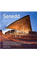 Senedd (English - Special Edition)