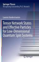 Tensor Network States and Effective Particles for Low-Dimensional Quantum Spin Systems