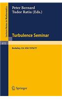 Turbulence Seminar