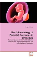 Epidemiology of Perinatal Outcomes in Zimbabwe