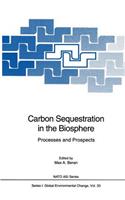 Carbon Sequestration in the Biosphere