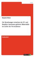 Beziehungen zwischen der EU und Brasilien. Interessen geleitete Bilateralität im Lichte des Neorealismus