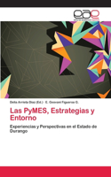 PyMES, Estrategias y Entorno