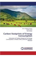 Carbon Footprints of Energy Consumption