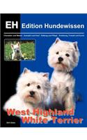 West Highland White Terrier