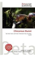 Chicoreus Dunni