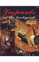 Leopards in the Backyard