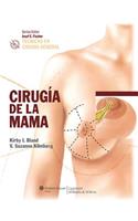 TÃ©cnicas En CirugÃ­a General: CirugÃ­a de la Mama