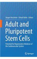 Adult and Pluripotent Stem Cells