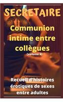 SECRETAIRE - Communion intime entre collègues (volume 6): Recueil d'histoires érotiques de sexe entre adultes dans le cadre professionnel