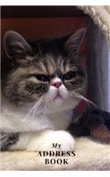 My Address Book: Grumpy Cat - Address Book for Names, Addresses, Phone Numbers, E-mails and Birthdays