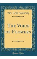 The Voice of Flowers (Classic Reprint)