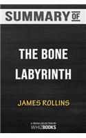 Summary of The Bone Labyrinth