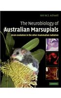Neurobiology of Australian Marsupials
