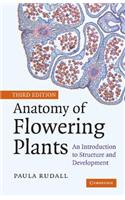 Anatomy of Flowering Plants