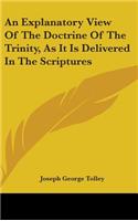 An Explanatory View Of The Doctrine Of The Trinity, As It Is Delivered In The Scriptures