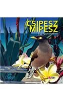 Csipesz Mipesz