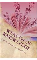 Wealth of Knowledge: Introduction to CalebNathi(English)