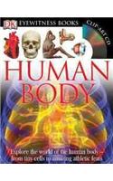 Human Body [With Clip-Art CD and Poster]