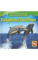 Dolphins / Delfines