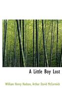 A Little Boy Lost