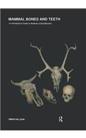 Mammal Bones and Teeth