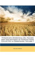 Petrificata Derbiensia: Or, Figures and Descriptions of Petrifactions Collected in Derbyshire, Volume 1