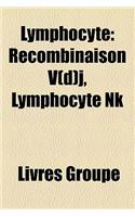 Lymphocyte: Recombinaison V(d)J, Lymphocyte NK(French)