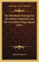 Die Offentliche Fursorge Fur Die Sittlich Gefahrdete Und Die Gewerblich Tatige Jugend (1907)