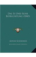 Das Ei Und Seine Befruchtung (1843)