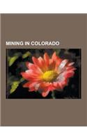 Mining in Colorado: Pike's Peak Gold Rush, Colorado Labor Wars, Ludlow Massacre, Golden Fleece Mining and Milling Company, Leadville Miner(English)