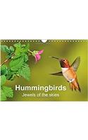 Hummingbirds Jewels of the Skies 2017