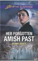 Her Forgotten Amish Past