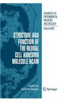 Structure and Function of the Neural Cell Adhesion Molecule Ncam