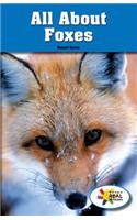 All about Foxes