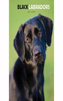 LABRADOR RETRIEVERS BLACK A5 DIARY 2021