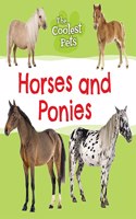 Horses and Ponies