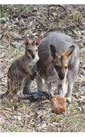 Mother Wallaby with Joey Journal: 150 Page Lined Notebook/Diary
