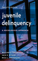 Juvenile Delinquency: A Sociological Approach