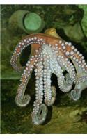 Octopus Tentacle Journal: 150 Page Lined Notebook/Diary