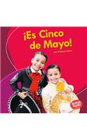 ¡Es Cinco de Mayo! (It's Cinco de Mayo!)