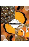 The Life Cycle of a Clown Fish: (Life Cycles)