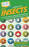 HowExpert Guide to Insects