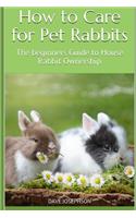 How to Care for Pet Rabbits