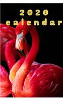 2020 Flamingo Calendar Planner Organizer