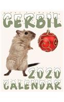 Gerbil 2020 Calendar