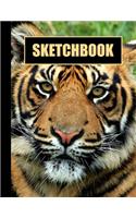 Sketchbook: Tiger Cover Design - White Paper - 120 Blank Unlined Pages - 8.5" X 11" - Matte Finished Soft Cover