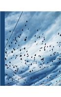 Lined Notebook: Composition Book or Journal; Blue Sky Filled With Birds