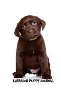 Labrador Puppy Journal: 8 x 10 inch dog notebook, Labrador Retriever, Chocolate Lab, college ruled lined composition book, 150 pages