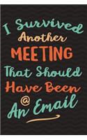 I Survived Another Meeting That Should Have Been An Email: Funny Gag Gift for Coworker - Hilarious Co-worker Notebook - Office Gag Gifts for Coworkers - Funny Coworker Gag Gifts for Men or Women - 6 x 9 Wide
